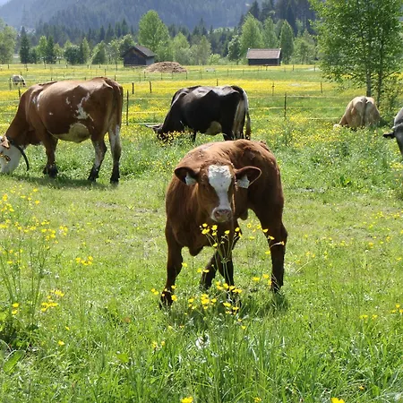 Appartamento Hauserhof