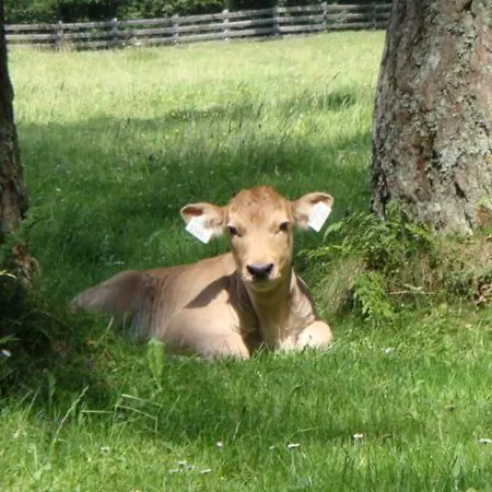 Hauserhof *