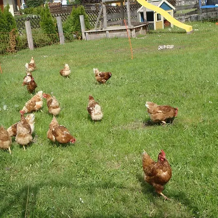 Appartamento Hauserhof Ehrwald
